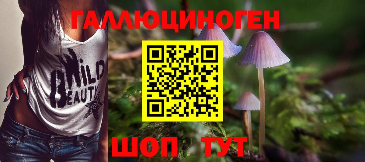 Великие Луки  Галлюциногенные грибы Cubensis  Псилоцибиновые грибы ЛСД  закладка  Вход с VPN 