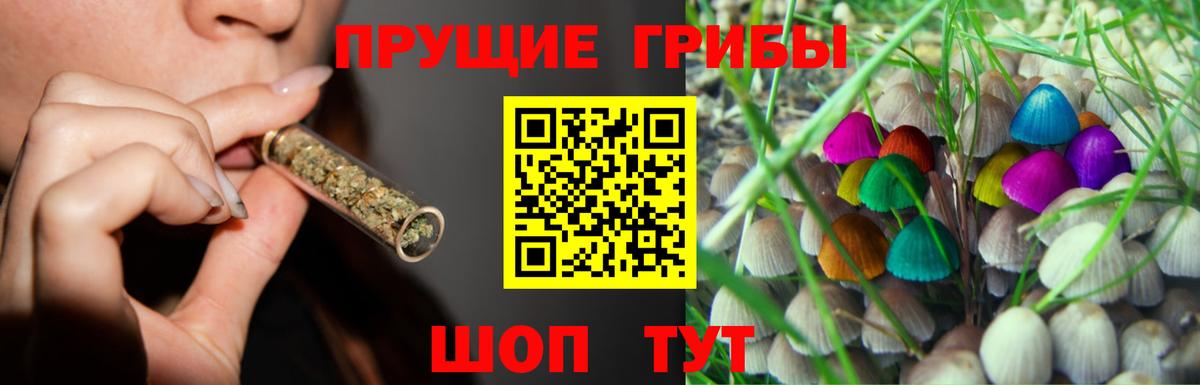 Псилоцибиновые грибы GOLDEN TEACHER Великие Луки